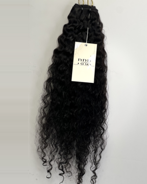 Alternative view of Burmese curly
